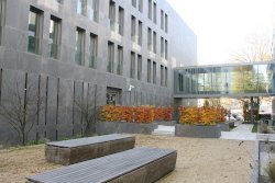 id_4255_von_datenbank_heruntergeladen